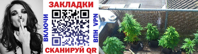 Купить наркотики цена Чкаловск ГАШ  Марихуана  Бутират  Мефедрон  Cocaine 