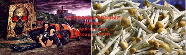 винт Навашино