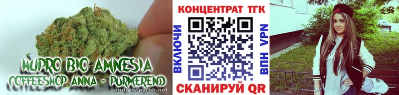 как найти наркотики  ссылка на мегу сайт  ТГК гашишное масло  Чкаловск 