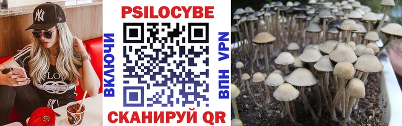 Псилоцибиновые грибы Cubensis Чкаловск